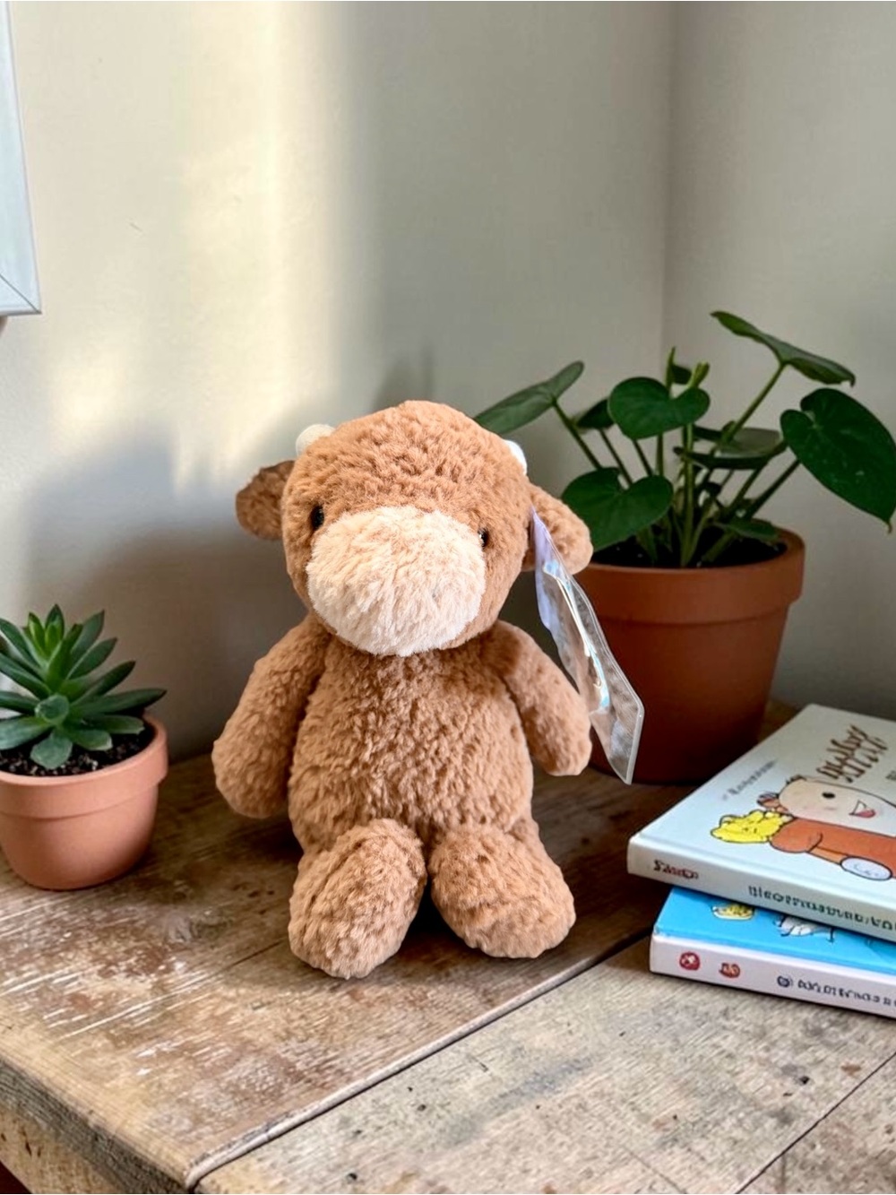 🐮𝐀𝐮𝐭𝐡𝐞𝐧𝐭𝐢𝐜 𝐉𝐞𝐥𝐥𝐲𝐜𝐚𝐭 𝐓𝐮𝐦𝐛𝐥𝐞𝐭𝐮𝐟𝐭 𝐂𝐨𝐰🐮